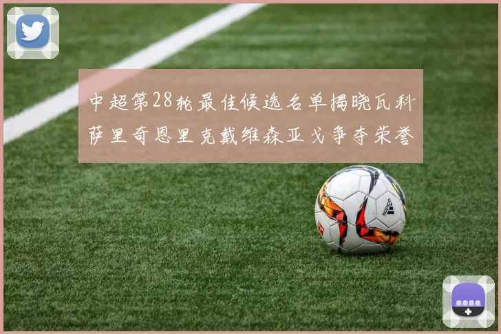 中超第28轮最佳候选名单揭晓瓦科萨里奇恩里克戴维森亚戈争夺荣誉