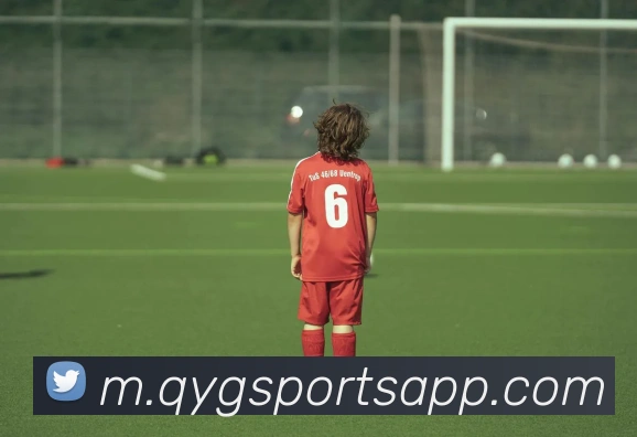 奇异果体育平台生态图